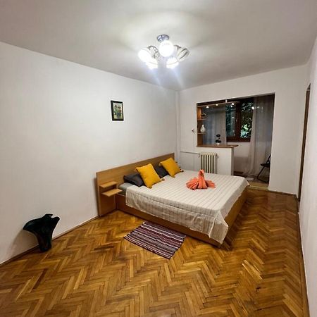 Miha Modern And Central Apartament Malul Muresului Arad Eksteriør billede