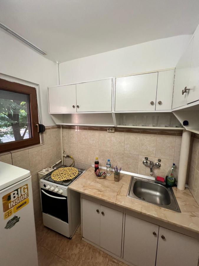 Miha Modern And Central Apartament Malul Muresului Arad Eksteriør billede