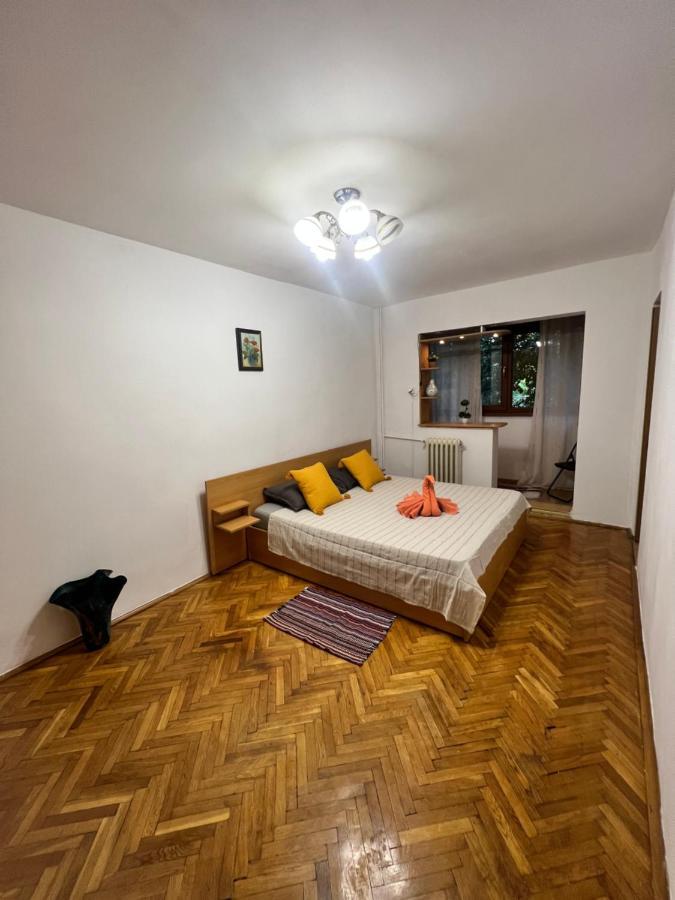 Miha Modern And Central Apartament Malul Muresului Arad Eksteriør billede