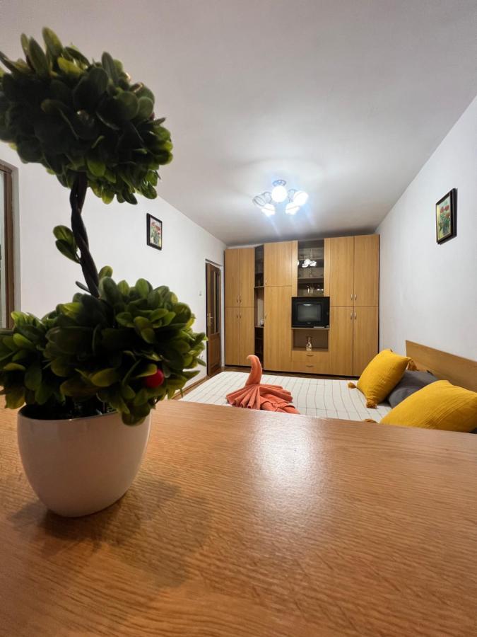 Miha Modern And Central Apartament Malul Muresului Arad Eksteriør billede