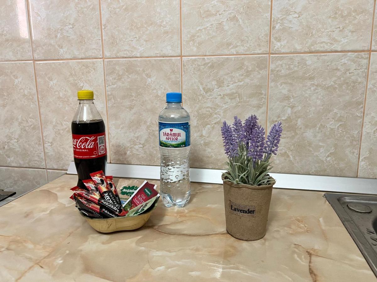 Miha Modern And Central Apartament Malul Muresului Arad Eksteriør billede
