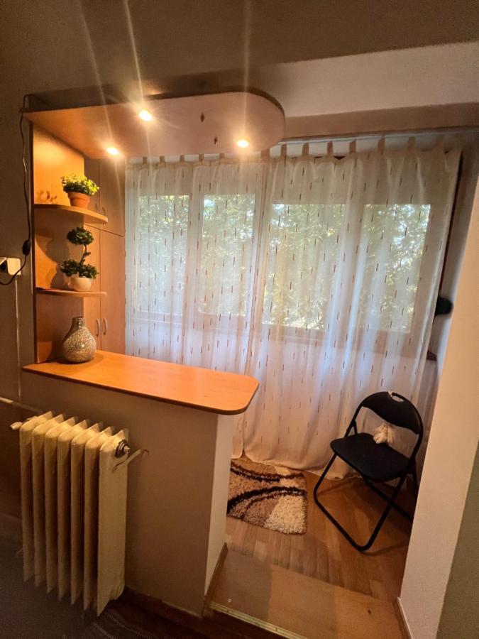 Miha Modern And Central Apartament Malul Muresului Arad Eksteriør billede