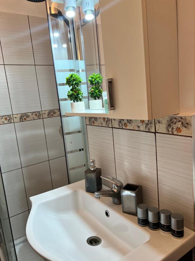 Miha Modern And Central Apartament Malul Muresului Arad Eksteriør billede