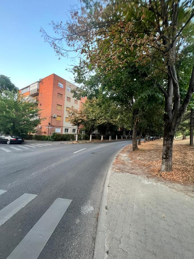 Miha Modern And Central Apartament Malul Muresului Arad Eksteriør billede