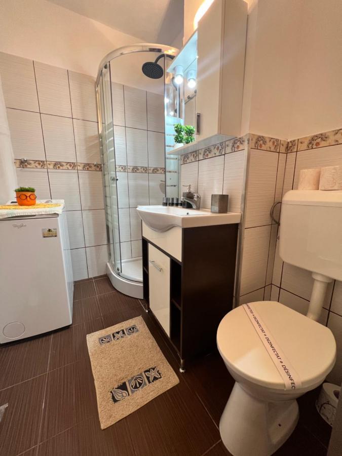 Miha Modern And Central Apartament Malul Muresului Arad Eksteriør billede